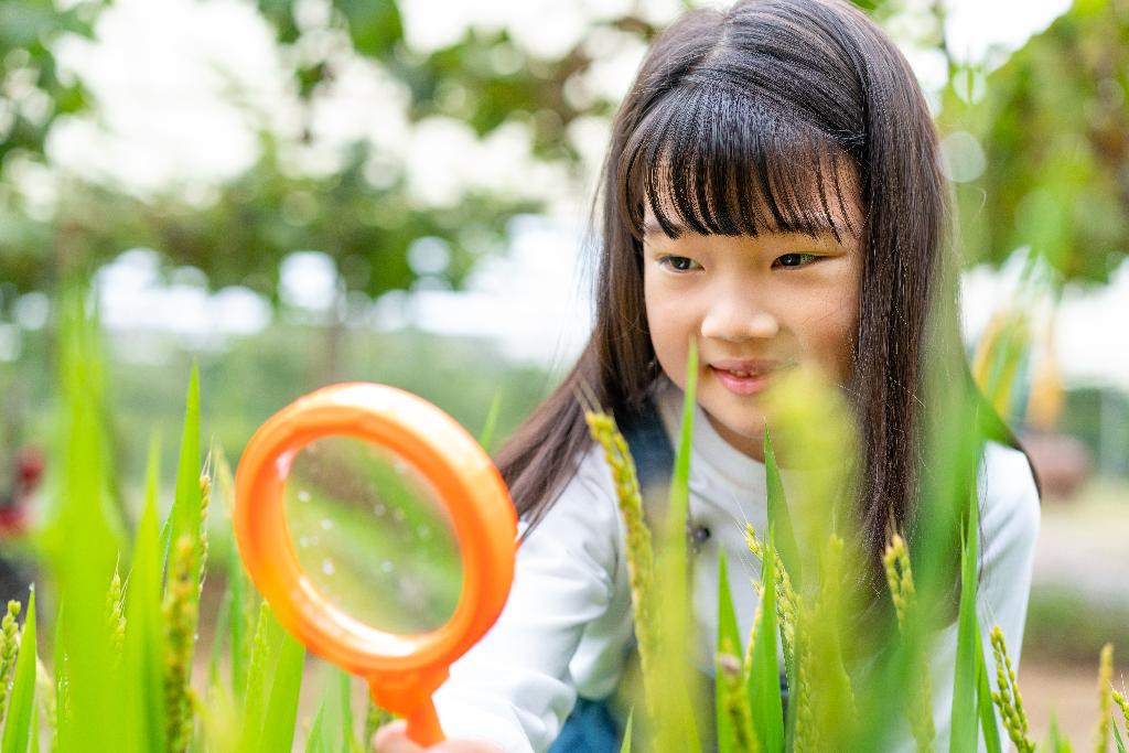 小女孩拿着放大镜观察植物图片