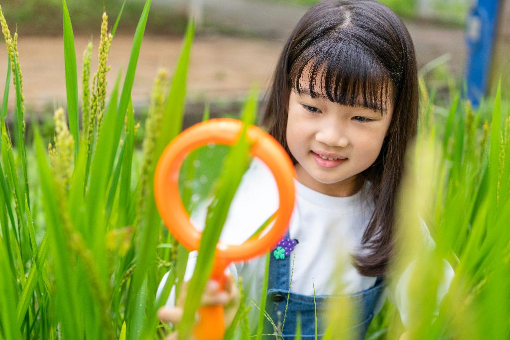 小女孩拿着放大镜观察植物图片