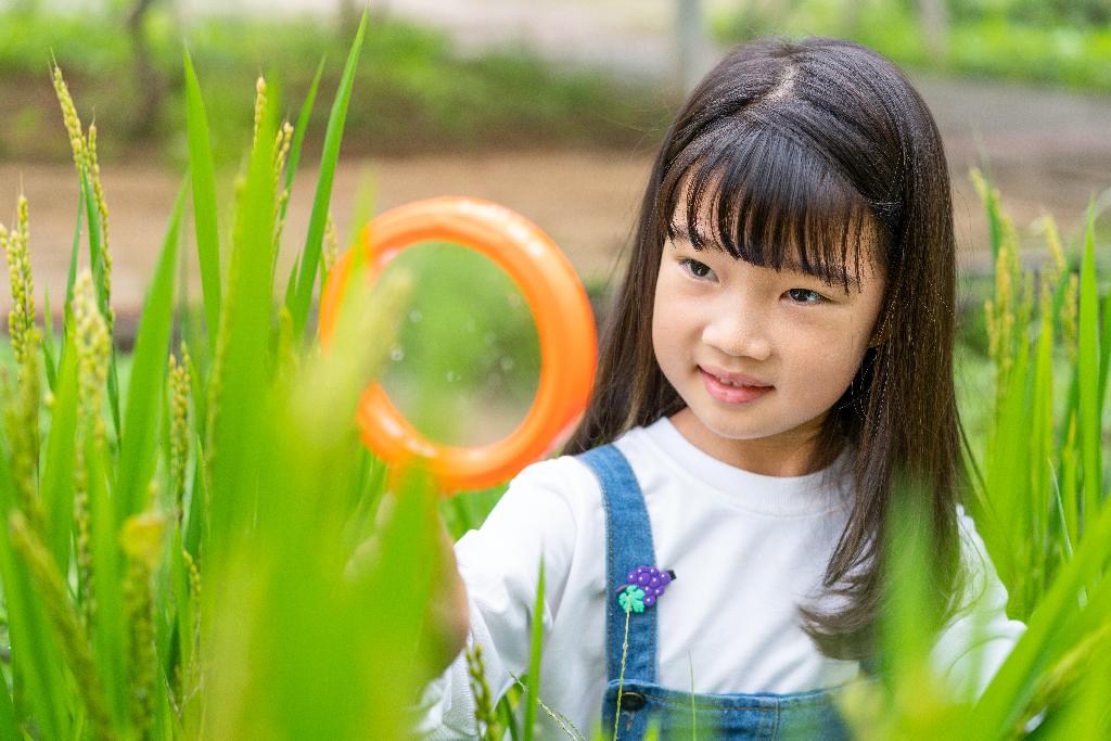 小女孩拿着放大镜观察植物图片