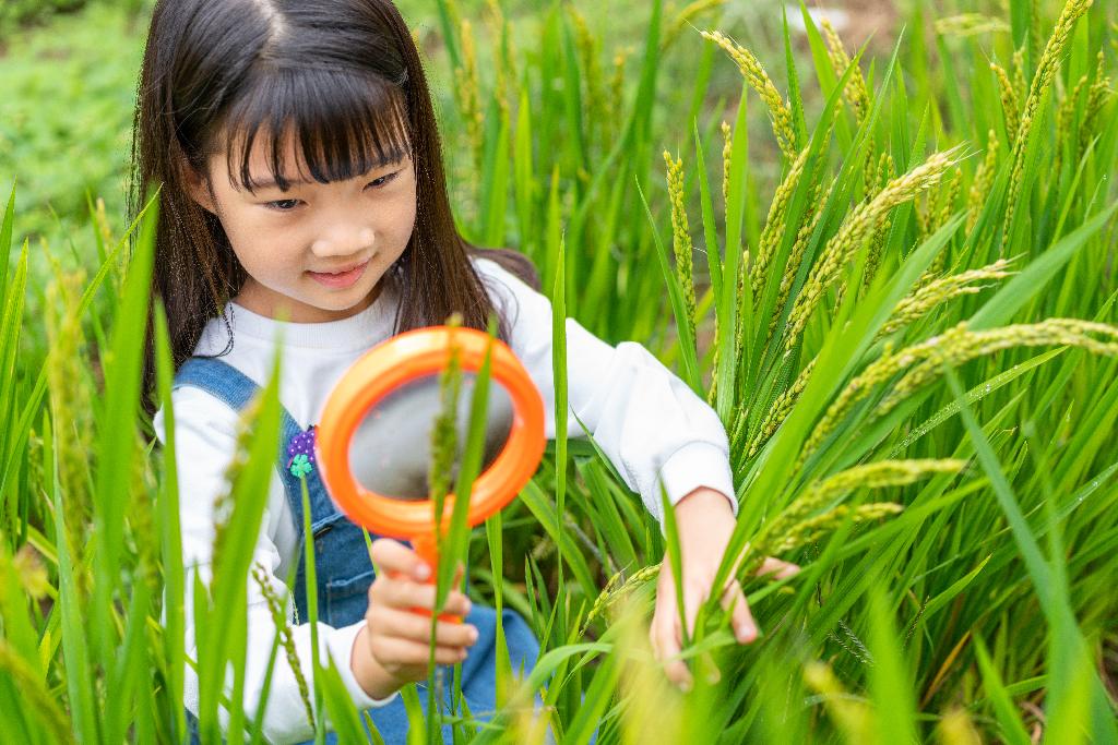 小女孩拿着放大镜观察植物图片