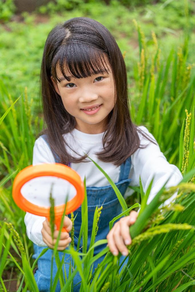 小女孩拿着放大镜观察植物