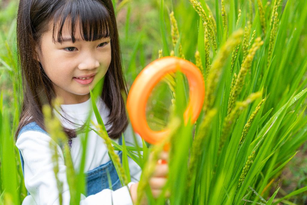 小女孩拿着放大镜观察植物图片