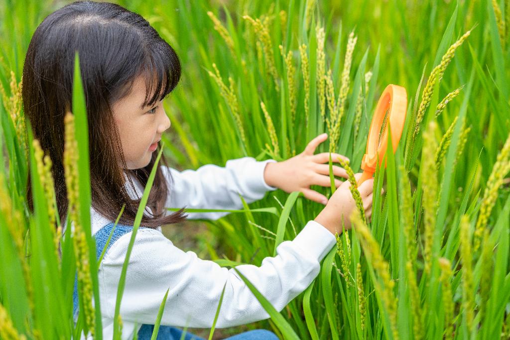 小女孩拿着放大镜观察植物图片