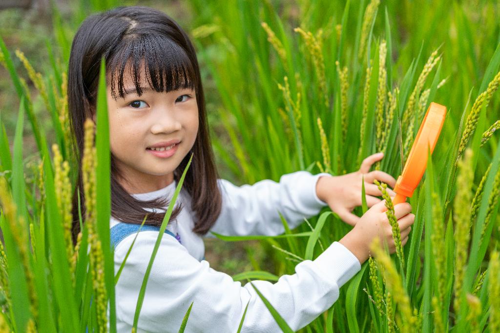 小女孩拿着放大镜观察植物