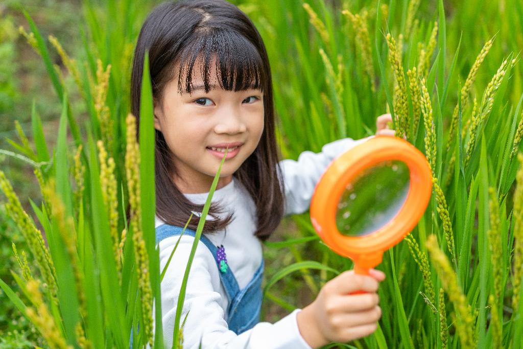 小女孩拿着放大镜观察植物图片