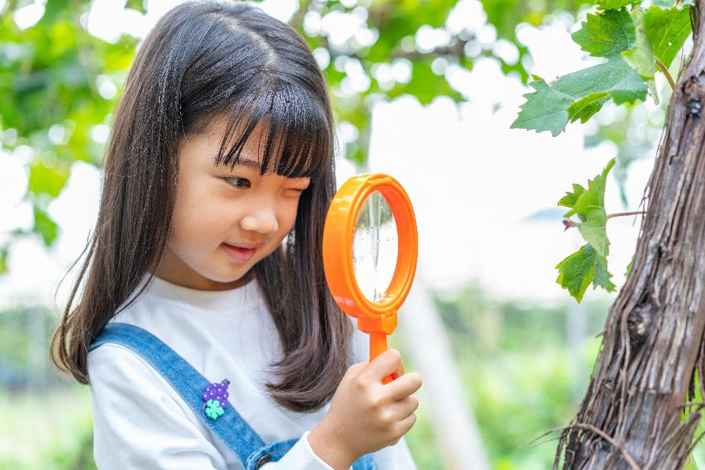 小女孩拿着放大镜观察植物