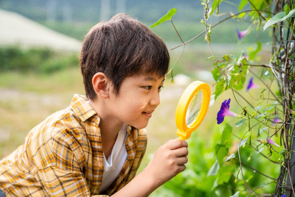 小男孩拿着放大镜观察植物