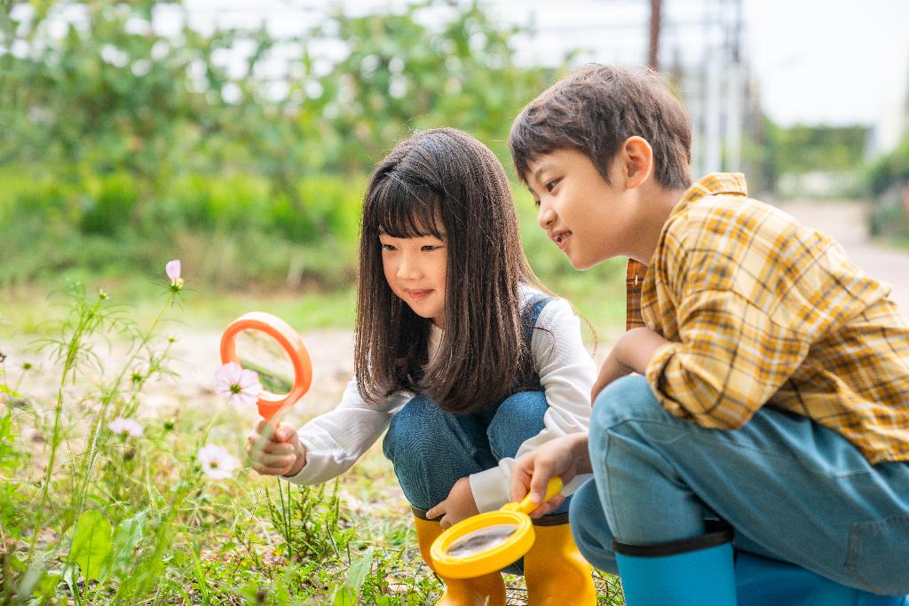 小朋友拿着放大镜观察植物图片