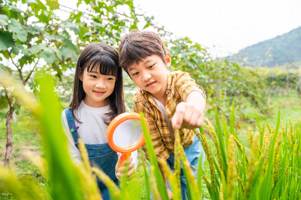 小朋友拿着放大镜观察植物