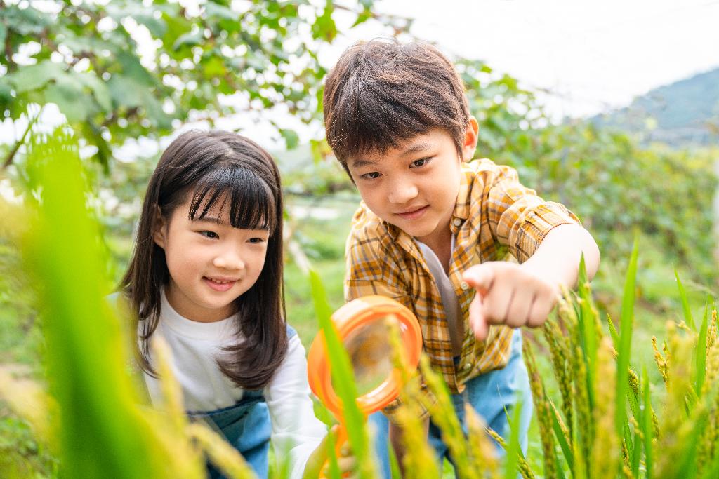 小朋友拿着放大镜观察植物图片