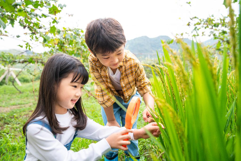 小朋友拿着放大镜观察植物图片