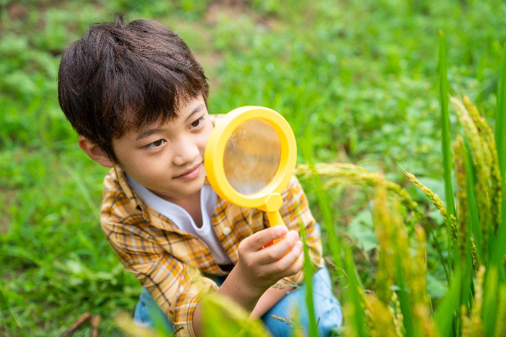 小男孩拿着放大镜观察植物