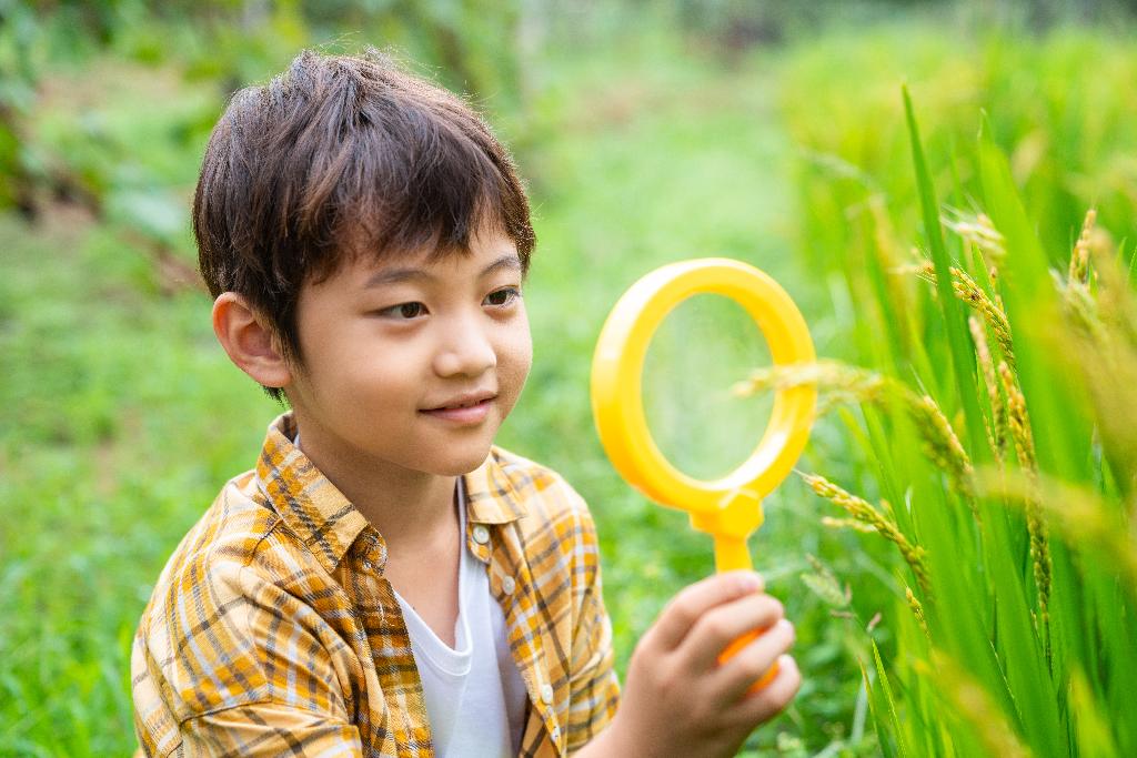 小男孩拿着放大镜观察植物