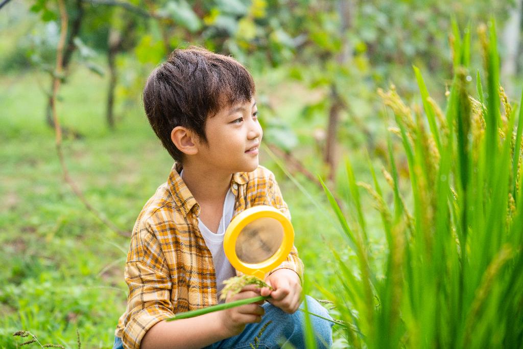 小男孩拿着放大镜观察植物图片