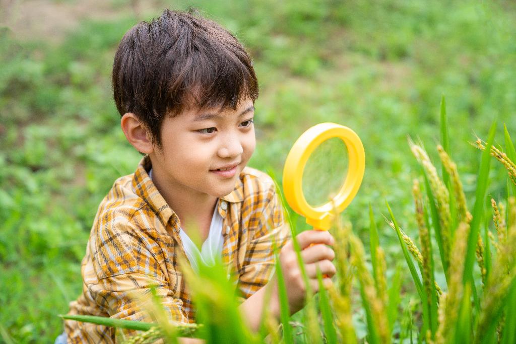 小男孩拿着放大镜观察植物图片