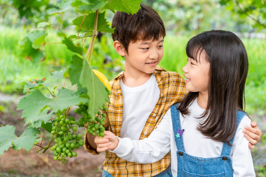 小朋友拿着放大镜观察葡萄