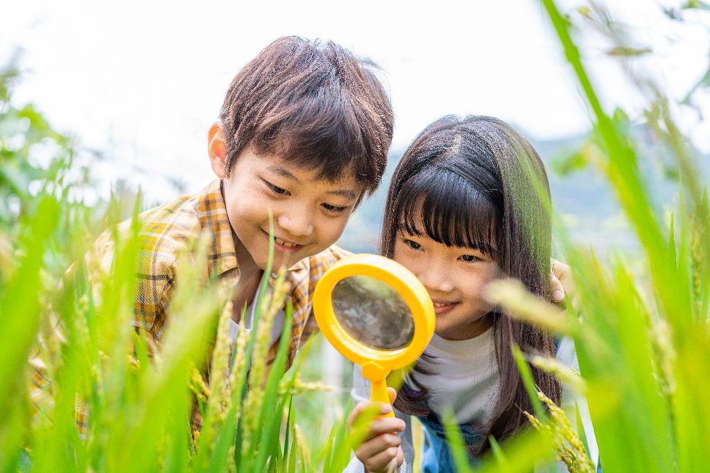 小朋友拿着放大镜观察植物图片