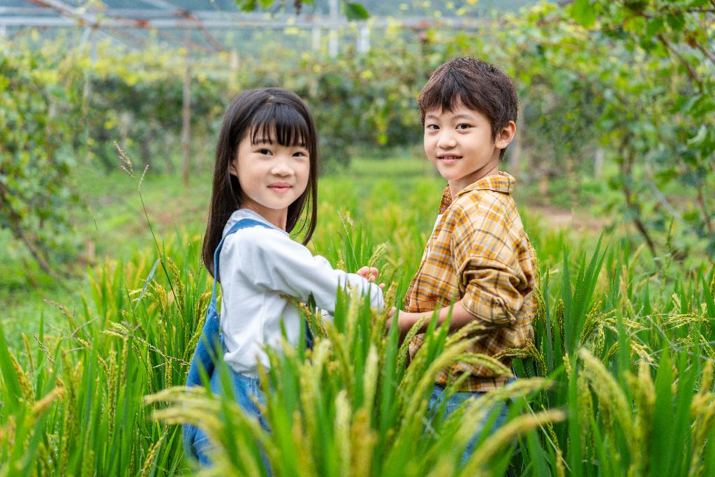 小朋友观察植物图片