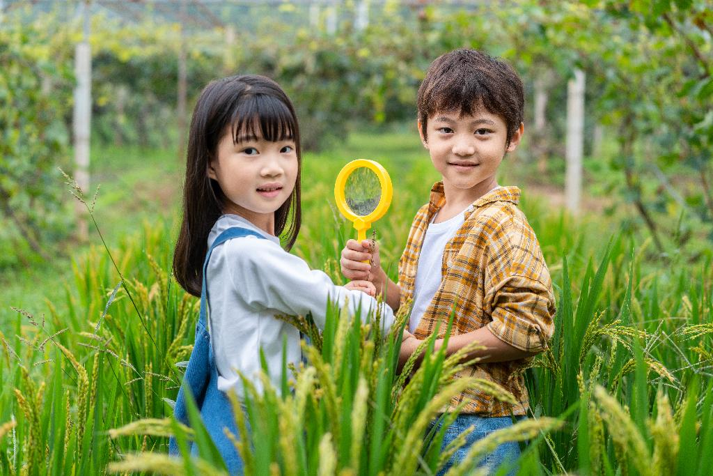 小朋友拿着放大镜观察植物图片