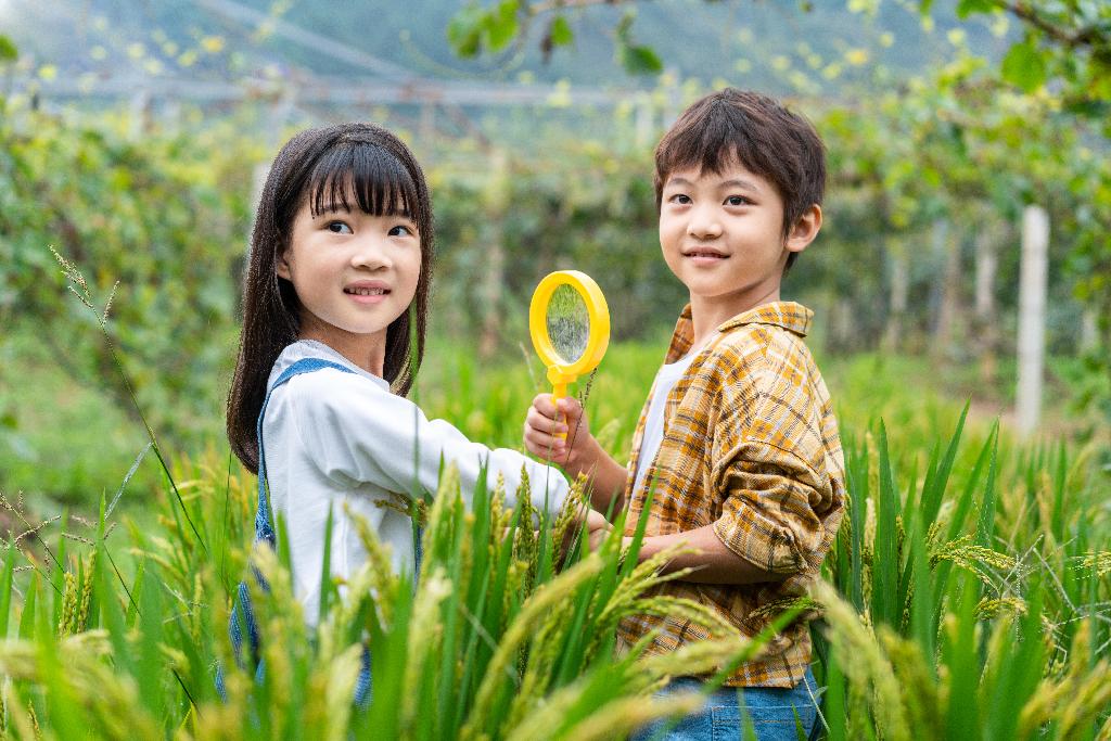 小朋友拿着放大镜观察植物图片