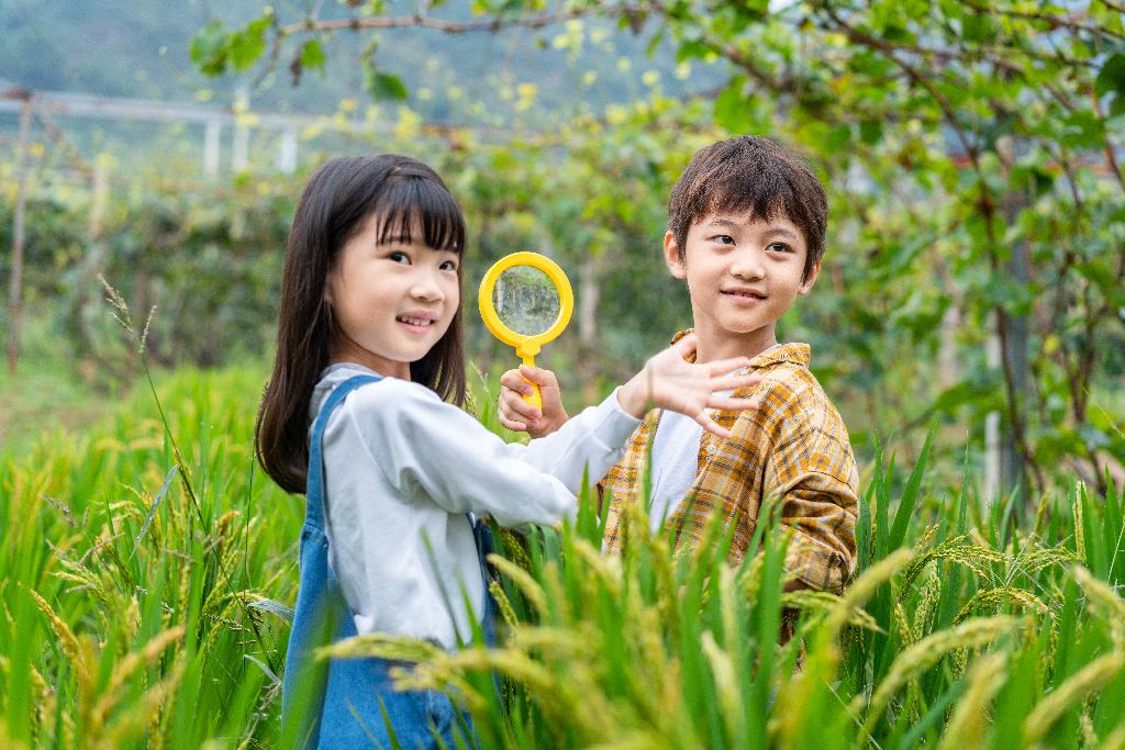 小朋友拿着放大镜观察植物