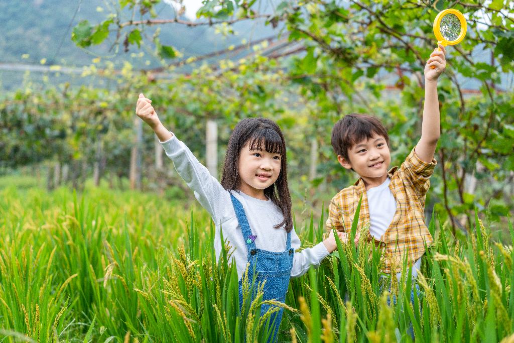 小朋友拿着放大镜观察植物