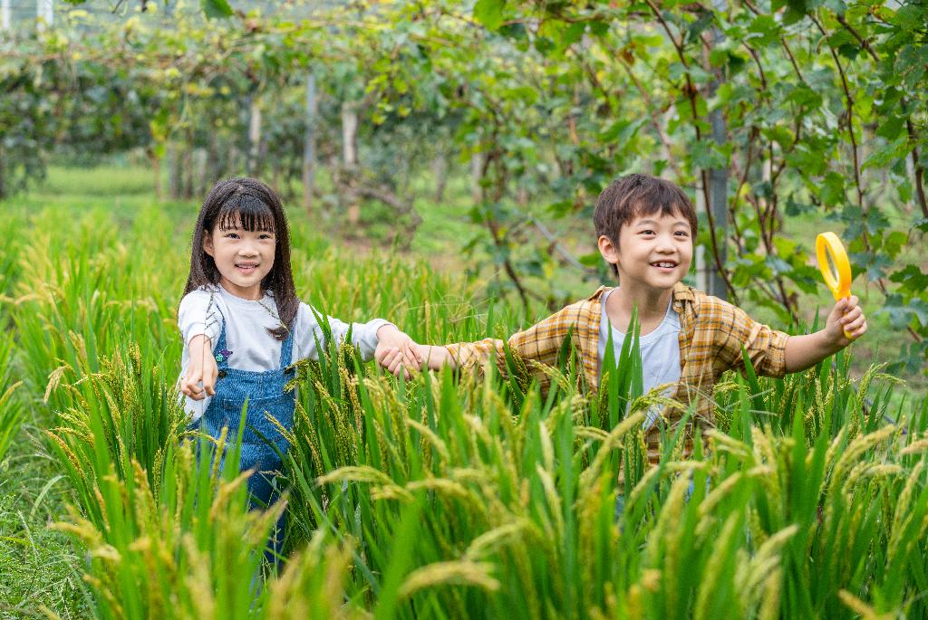 小朋友拿着放大镜观察植物图片