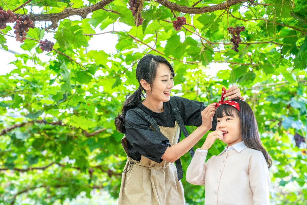 快乐的母女在果园采摘葡萄