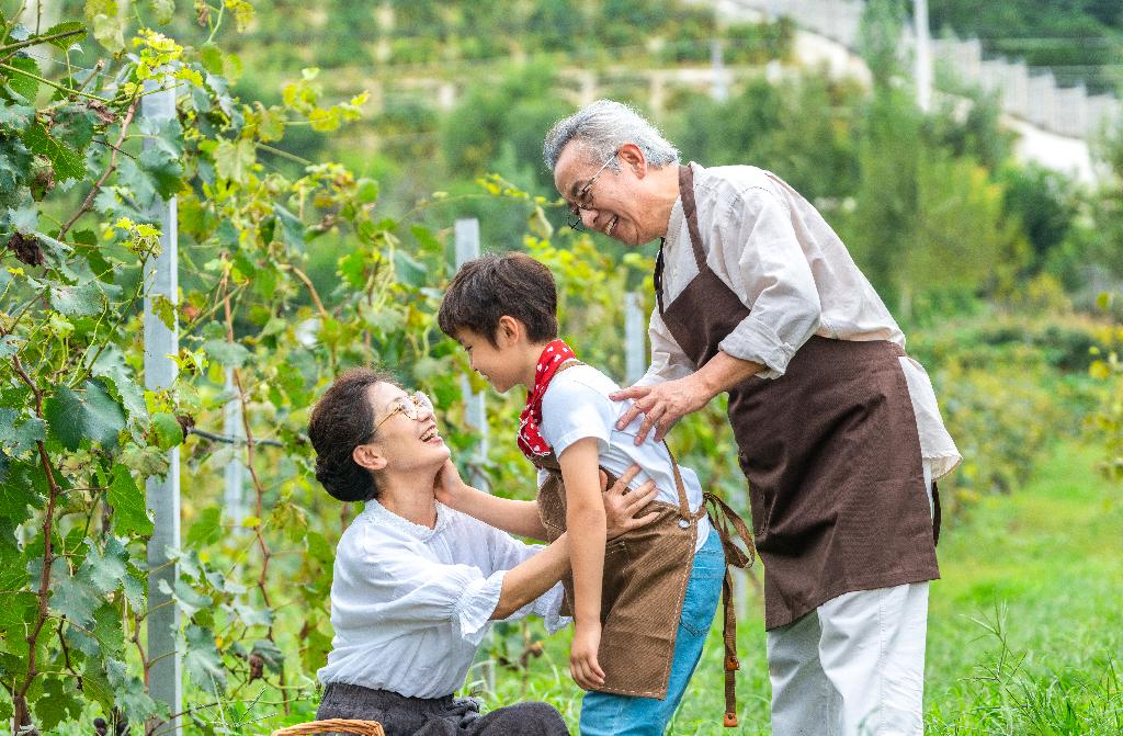 祖孙在果园采摘葡萄图片