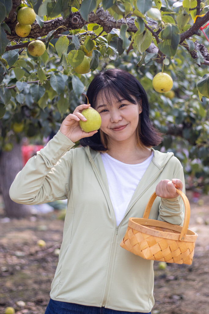 快乐的年轻女人在果园采摘图片