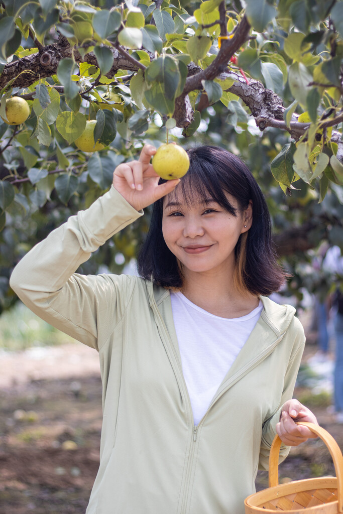 快乐的年轻女人在果园采摘