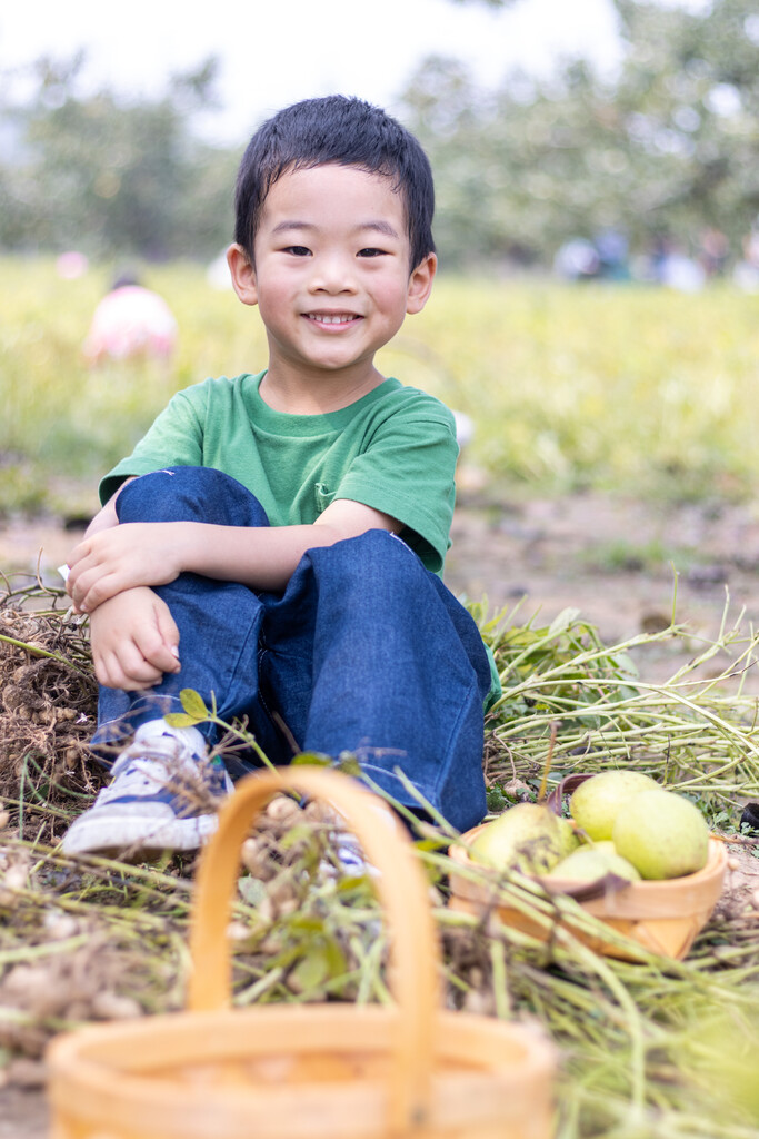 快乐的小男孩坐在菜地边吃梨图片