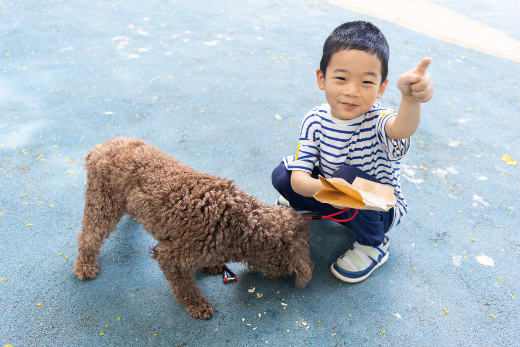 快乐的小男孩和小狗在院子里玩耍